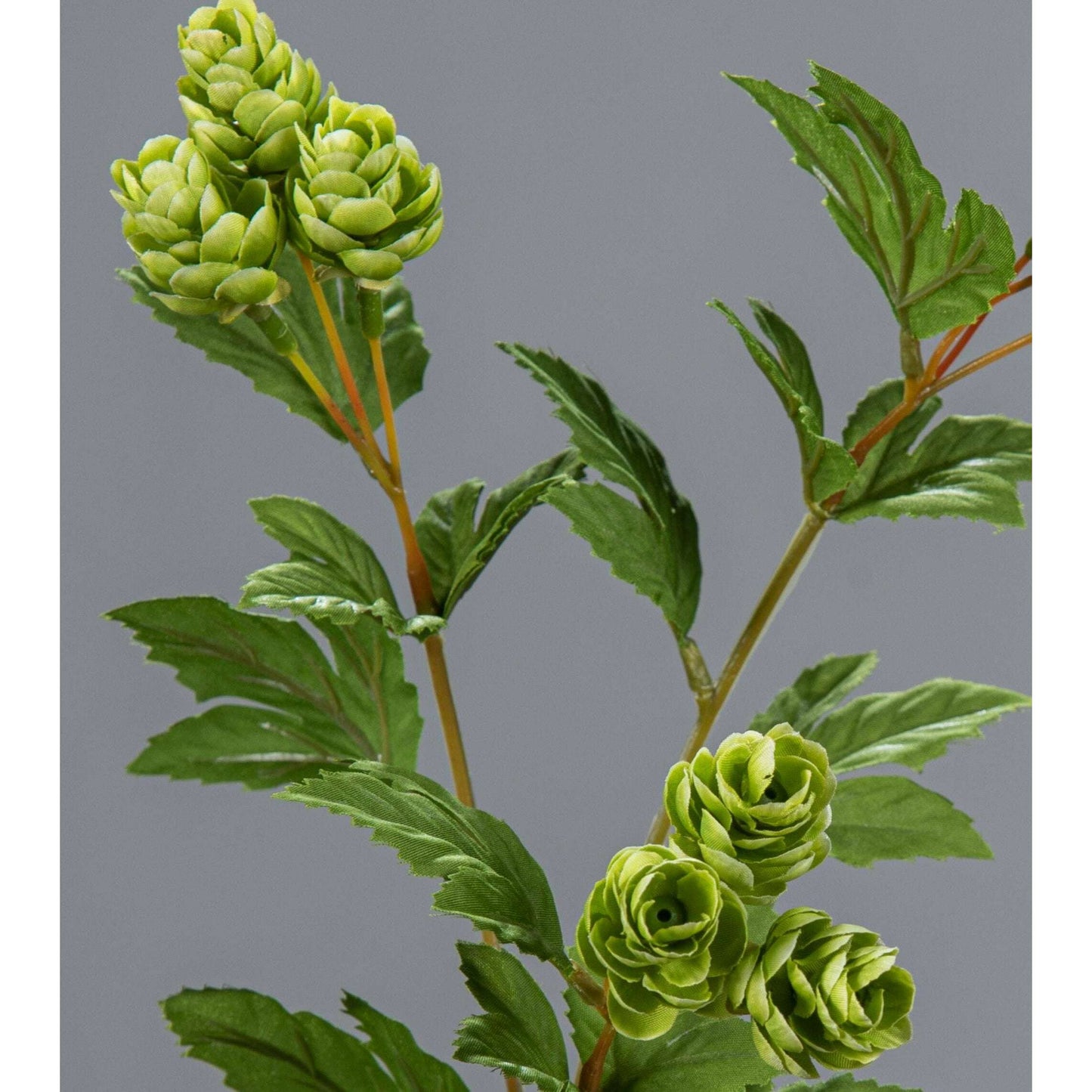 Tige artificielle Houblon – composition florale - H.78cm vert